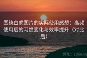 围绕白虎图片的实际使用感想：高频使用后的习惯变化与效率提升（对比后）