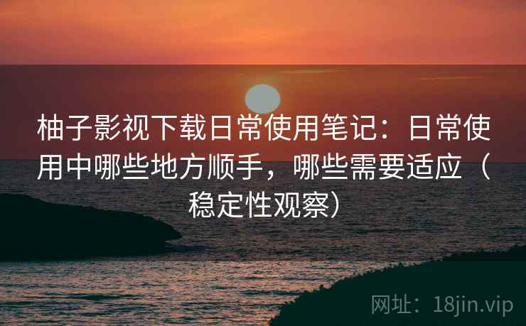 柚子影视下载日常使用笔记：日常使用中哪些地方顺手，哪些需要适应（稳定性观察）